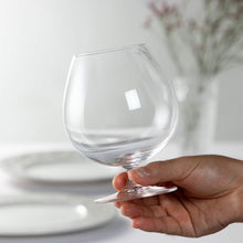 Riedel Vinum Brandy Glasses (Pair) (4745028763785)