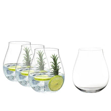 Riedel Gin Glasses (Set of 4) - Tumbler (4744811643017)