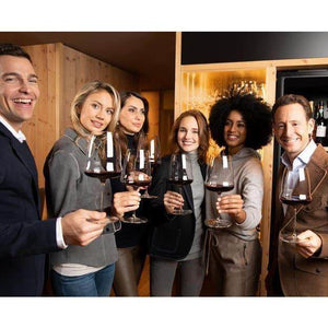 Riedel Winewings Bordeaux / Cabernet Sauvignon Glasses (Set of 4) - {{ The Riedel Shop }} (7638949953758)